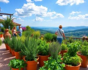 Mediterrane Kräuter für sonnige Terrassen anpflanzen