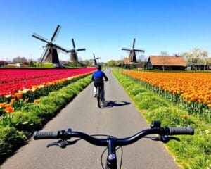 Die besten Orte für Fahrradurlaub in Holland