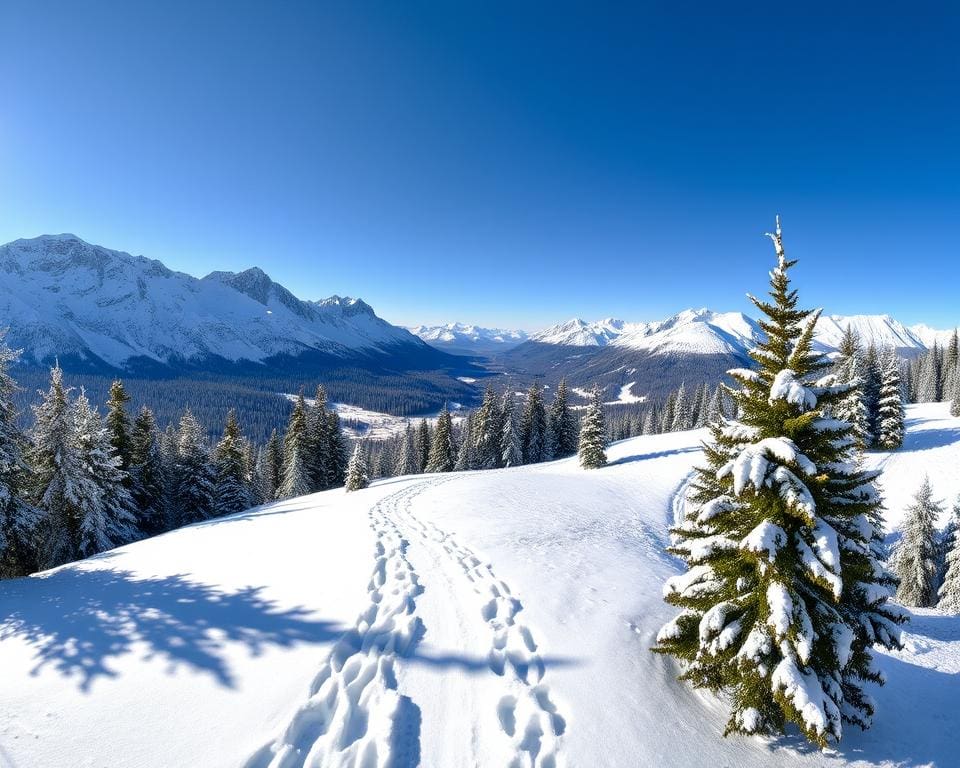 Schneeschuhwanderungen in Vorarlberg