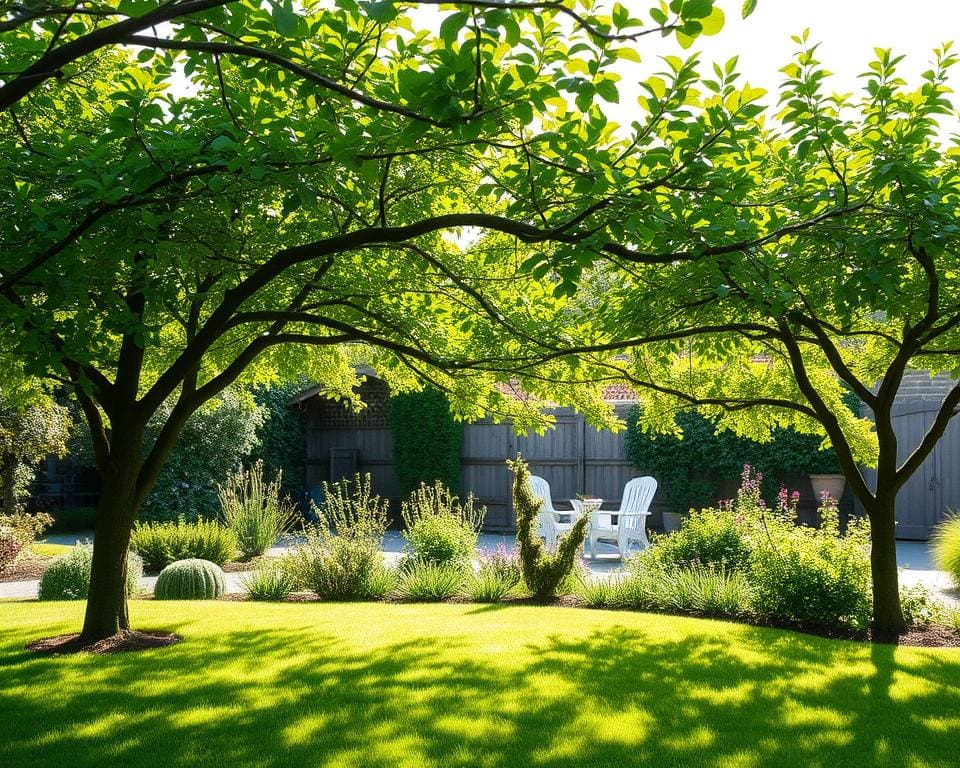 Obstbaum Spalier
