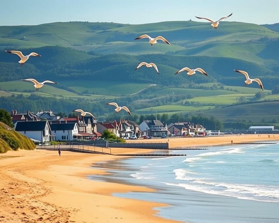 Wann ist die beste Reisezeit für einen Urlaub in Duhnen?