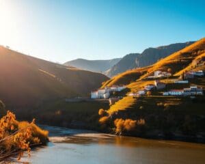 Douro Tal