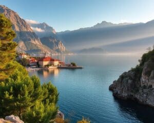 Kotor